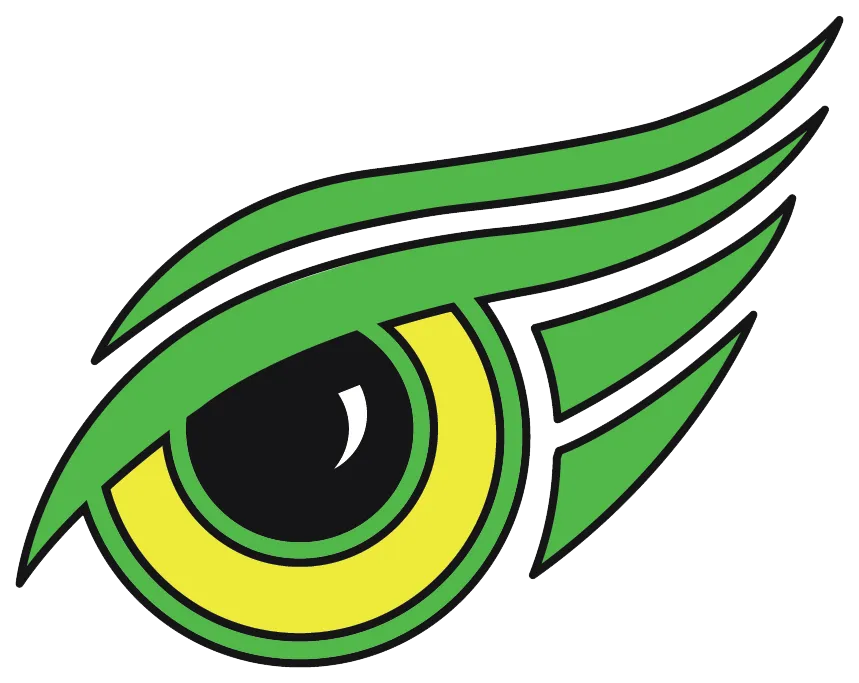 Eagle Eye Mold Inspection of South Florida